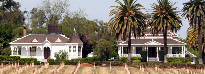 Livermore's Doctor's Dining Room